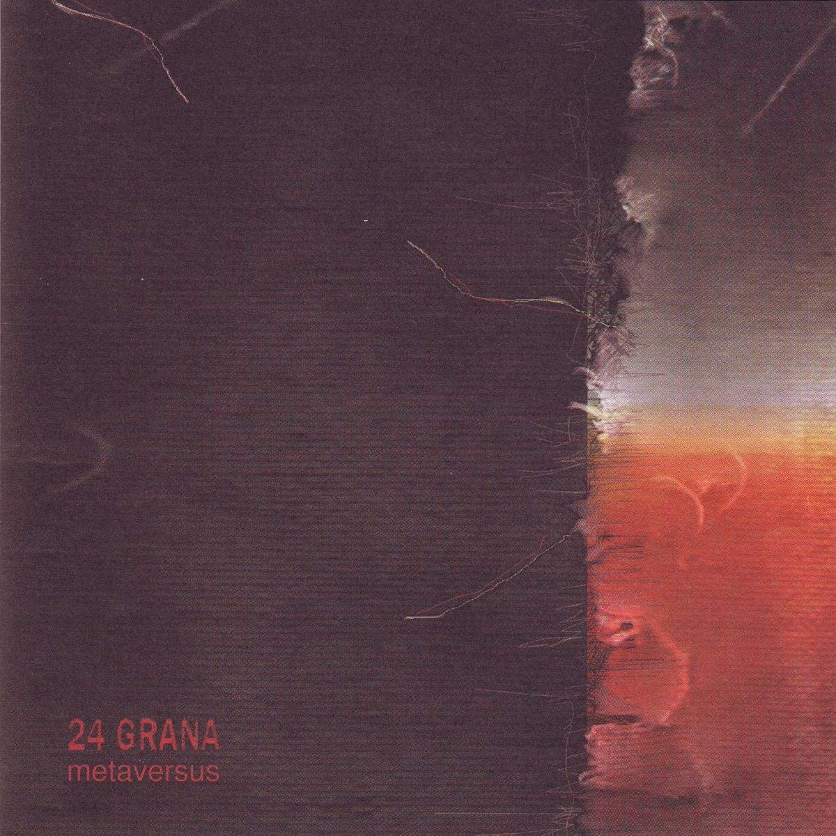 Copertina Vinile 33 giri Metaversus di 24 Grana