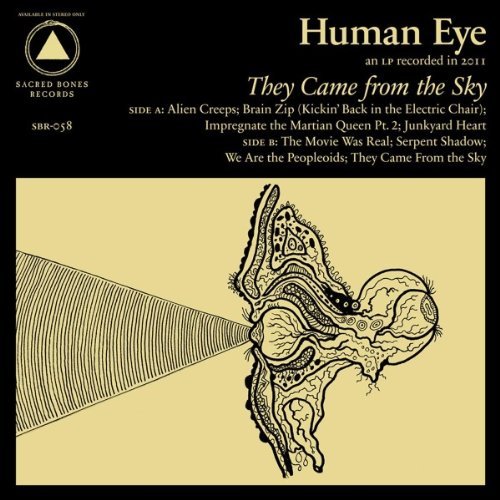 Copertina Disco Vinile 33 giri They Came From The Sky di Human Eye