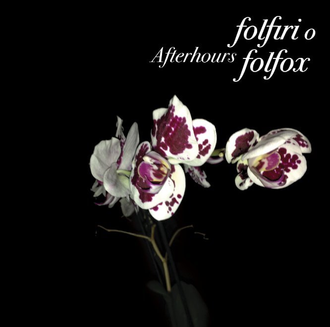 Copertina Disco Vinile 33 giri Folfiri o Folfox [2 LP] di Afterhours
