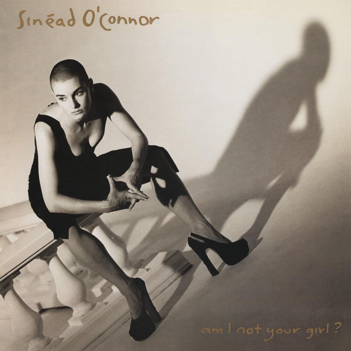 Copertina Vinile 33 giri Am I Not Your Girl? di Sinéad O'Connor