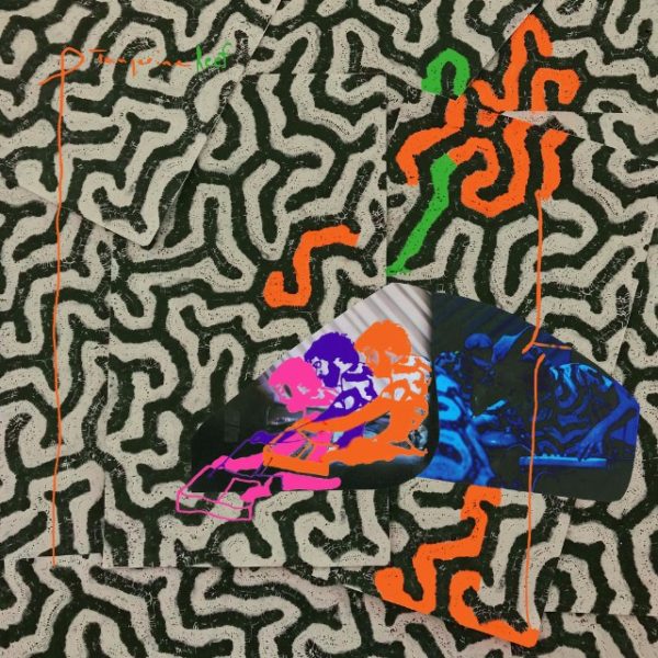 Copertina Vinile 33 giri Tangerine Reef [2 LP] di Animal Collective