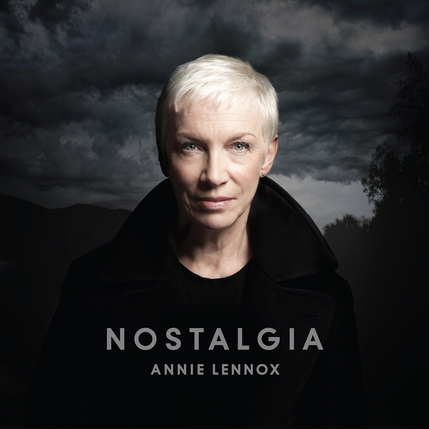 Copertina Disco Vinile 33 giri Nostalgia di Annie Lennox