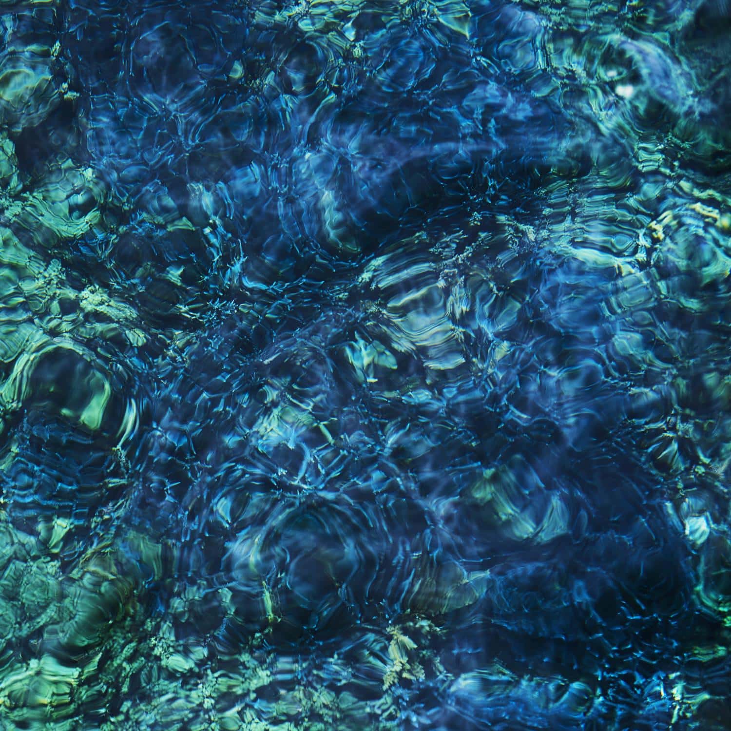 Copertina Vinile 33 giri Luminescent Creatures di Ichiko Aoba