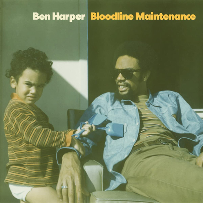 Copertina Vinile 33 giri Bloodline Maintenance di Ben Harper
