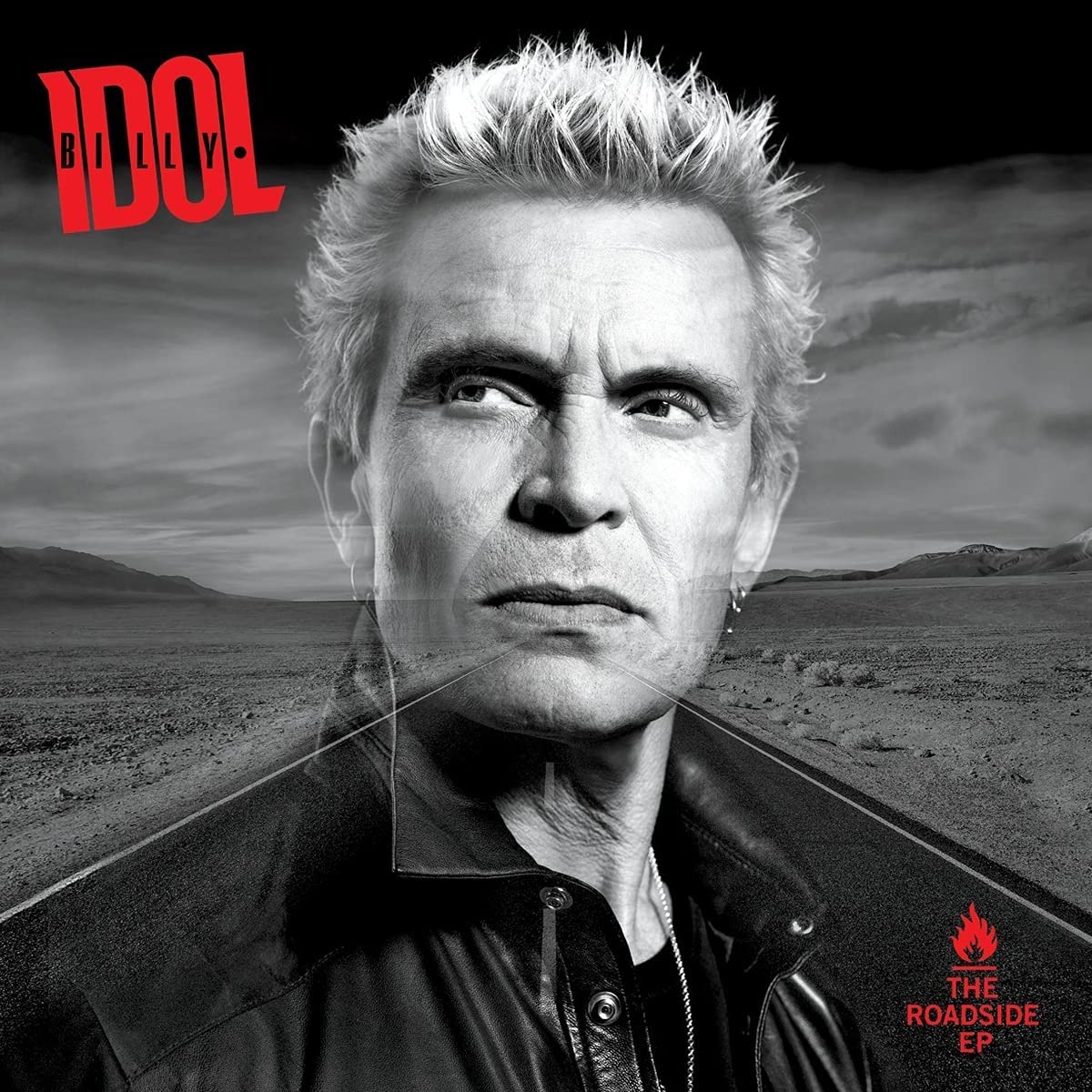 Copertina Vinile 33 giri The Roadside di Billy Idol