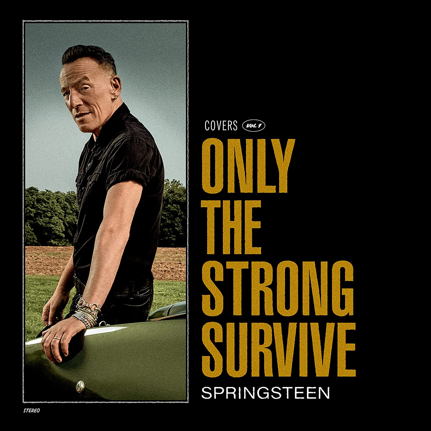 Copertina Vinile 33 giri Only the Strong Survive di Bruce Springsteen