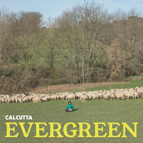 Copertina Vinile 33 giri Evergreen di Calcutta