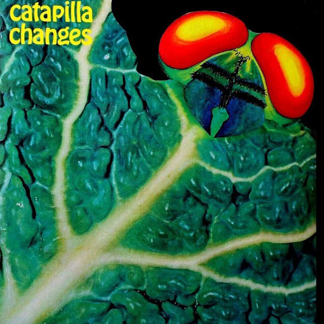 Copertina Vinile 33 giri Changes di Catapilla