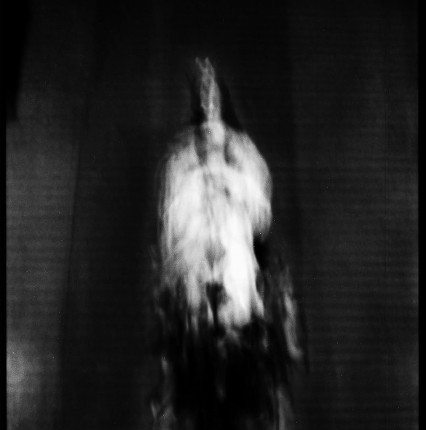 Copertina Vinile 33 giri Morte e Pianto Rituale di Cigno