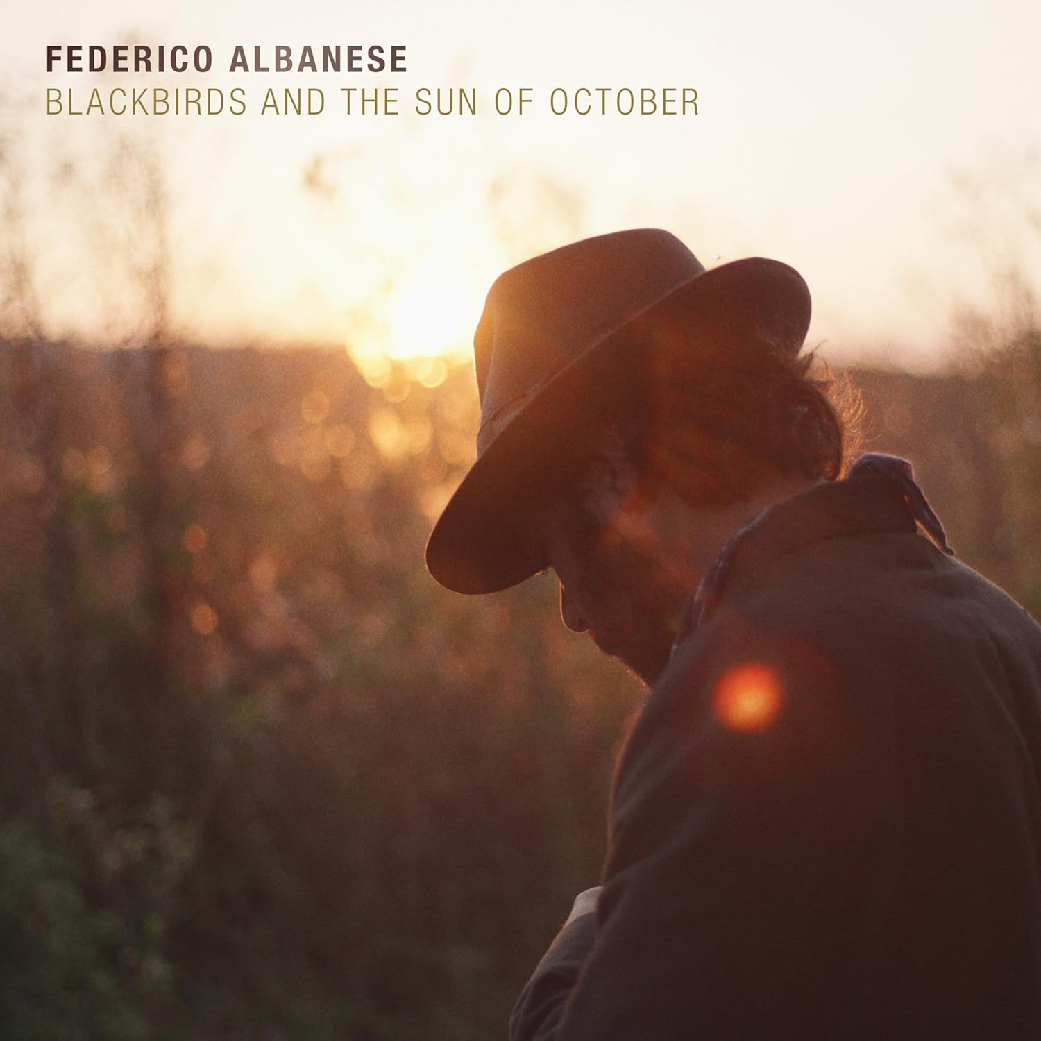 Copertina Vinile 33 giri Blackbirds And The Sun Of October di Federico Albanese