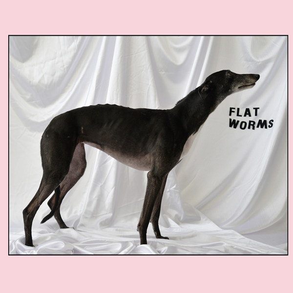 Copertina Vinile 33 giri Flat Worms di Flat Worms