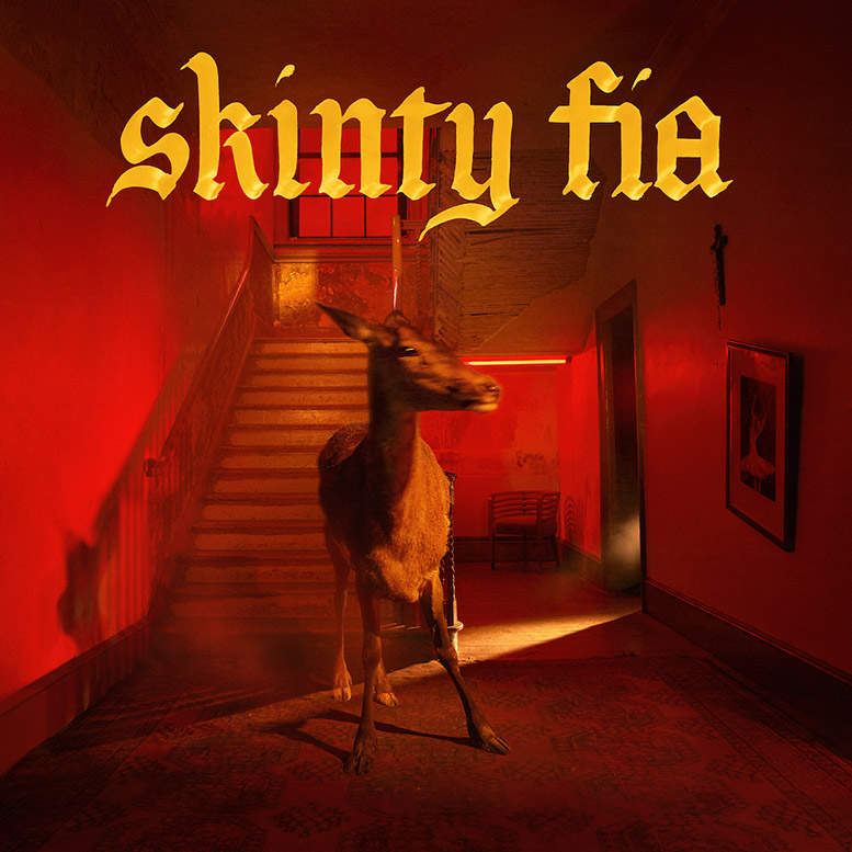 Copertina Vinile 33 giri Skinty Fia di Fontaines D.C.