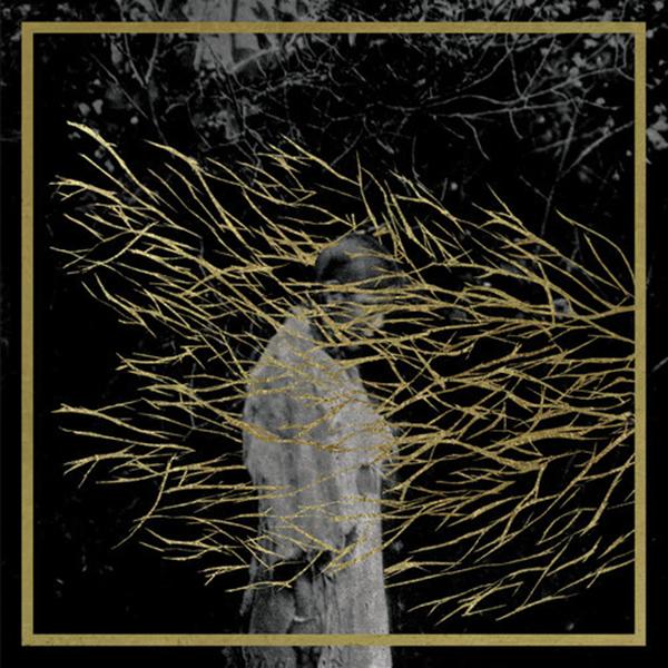 Copertina Disco Vinile 33 giri Engravings [2 LP] di Forest Swords