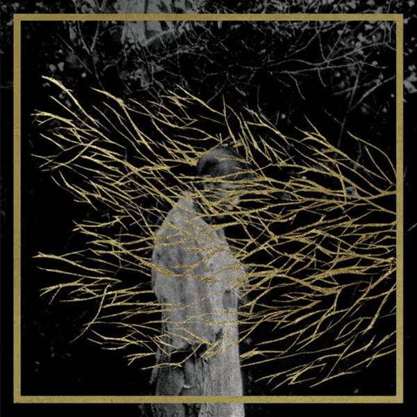 Copertina Disco Vinile 33 giri Engravings [2 LP] di Forest Swords