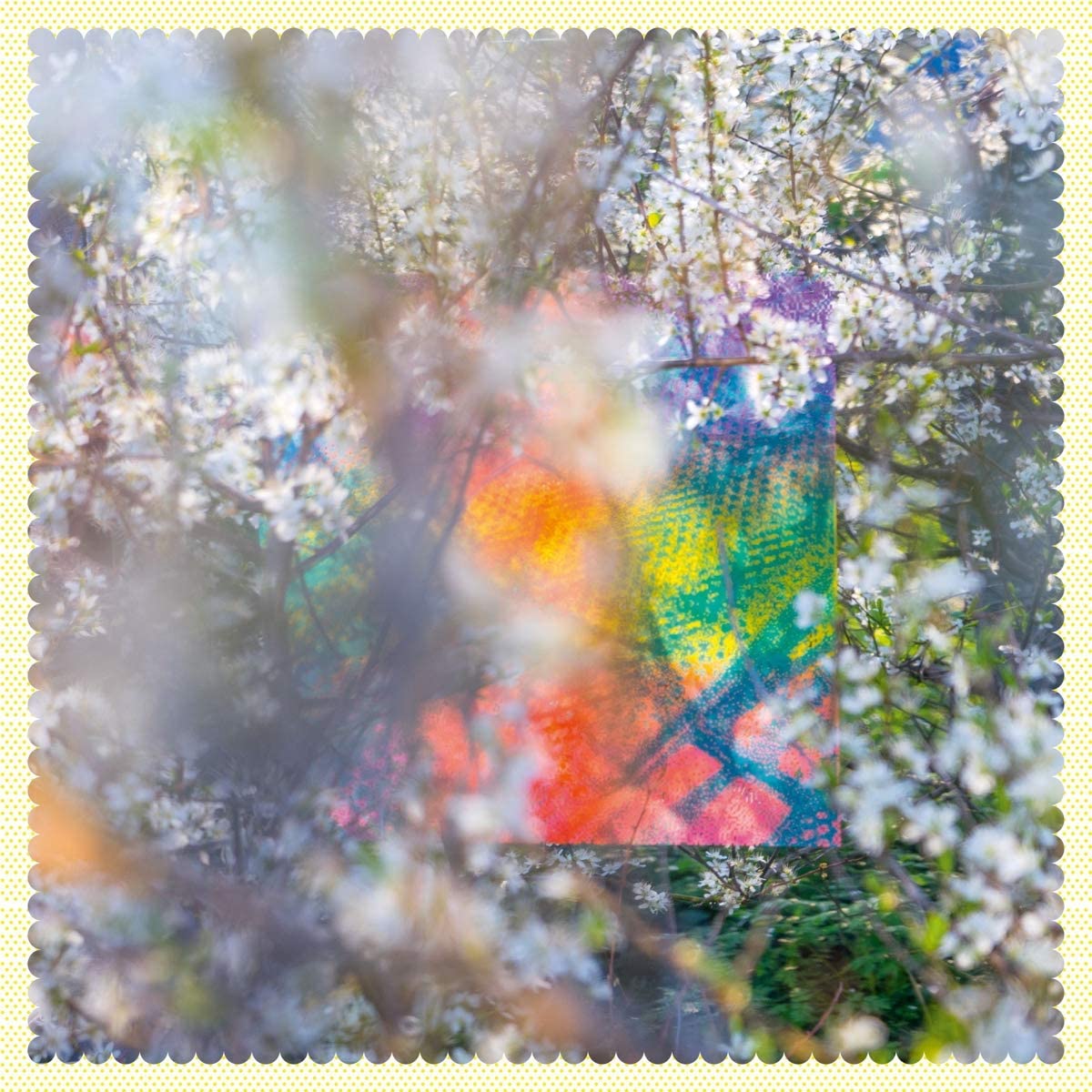 Copertina Vinile 33 giri Sixteen Oceans [2 LP] di Four Tet