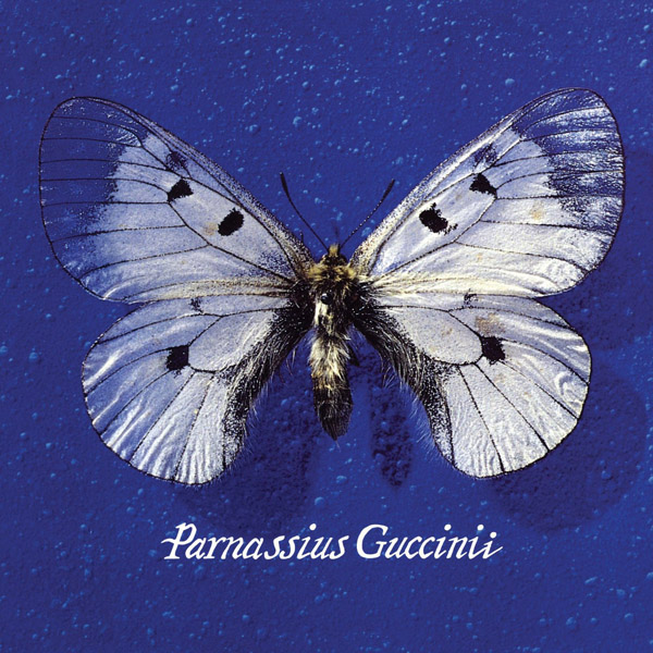 Copertina Disco Vinile 33 giri Parnassius Guccinii di Francesco Guccini