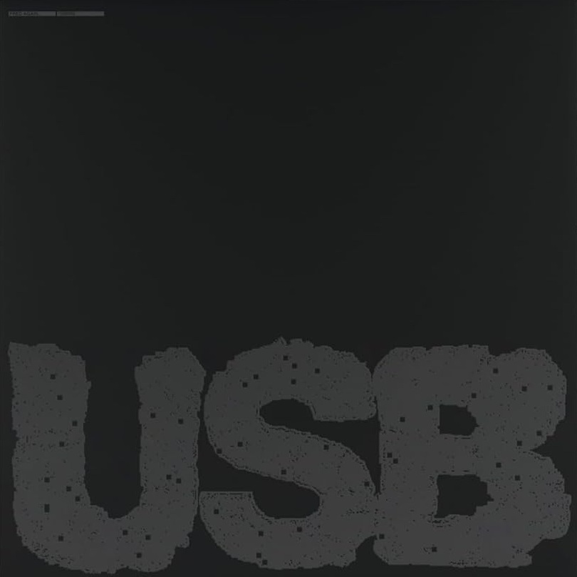 Copertina Vinile 33 giri USB002 di Fred Again