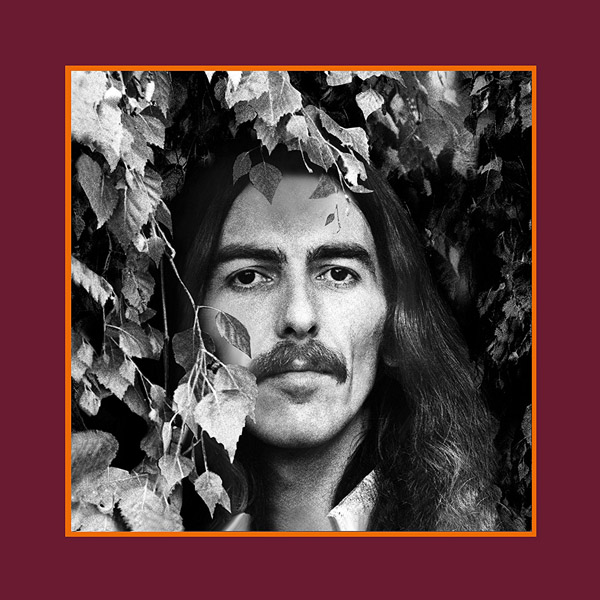 Copertina Vinile 33 giri The Vinyl Collection [Cofanetto 18xLP] di George Harrison