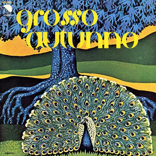 Copertina Vinile 33 giri Grosso Autunno di Grosso Autunno