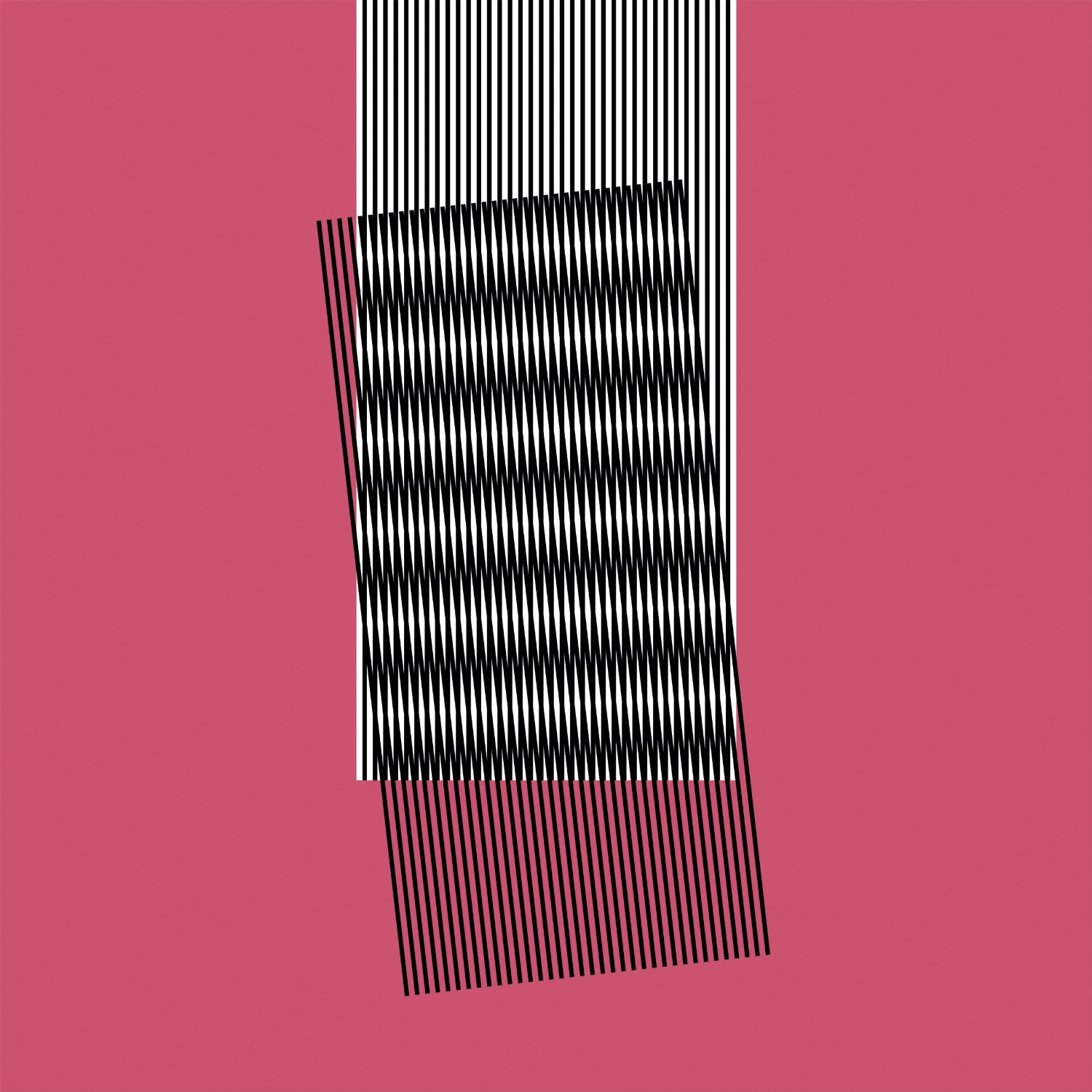 Copertina Disco Vinile 33 giri Why Make Sense? [2 LP] di Hot Chip