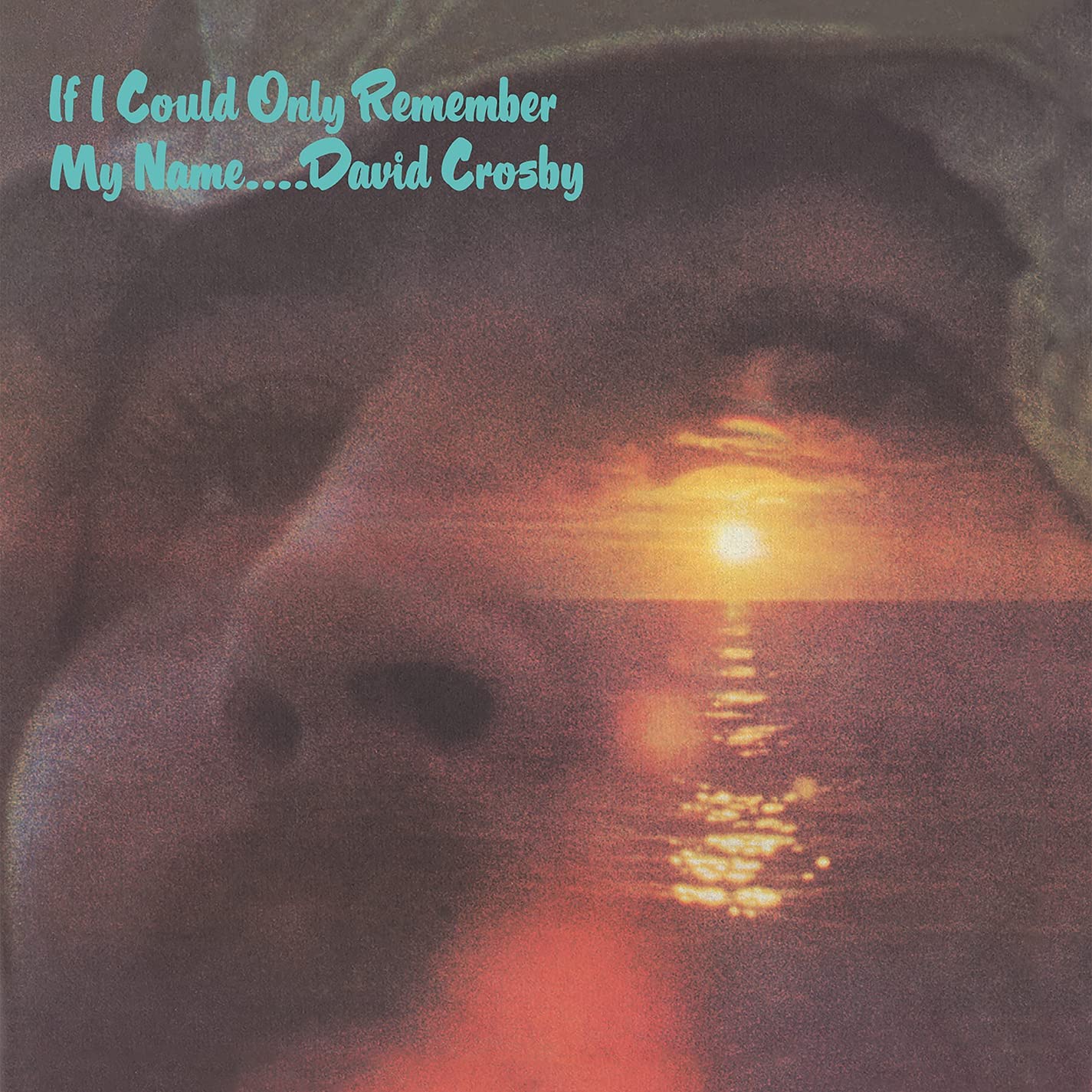 Copertina Vinile 33 giri If I Could Only Remember My Name di David Crosby