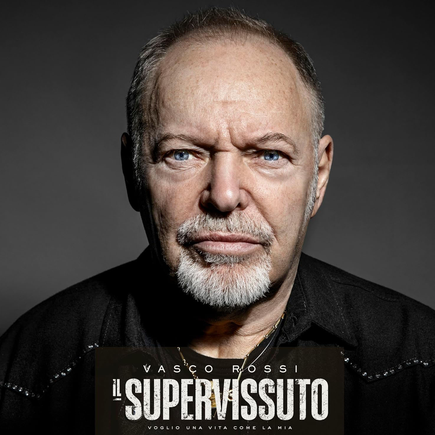 Copertina Vinile 33 giri Il Supervissuto di Vasco Rossi