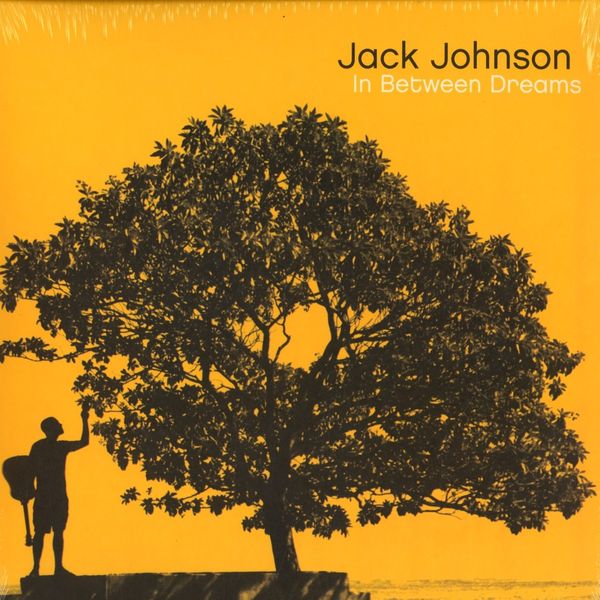 Copertina Disco Vinile 33 giri In Between Dreams di Jack Johnson