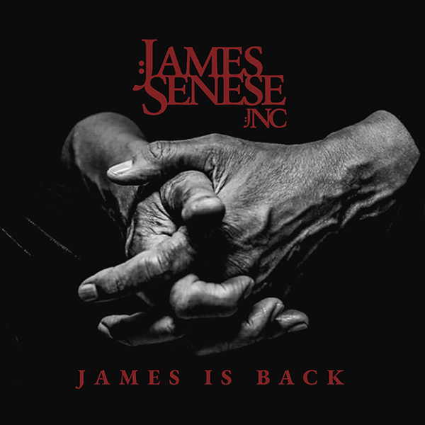 Copertina Vinile 33 giri James Is Back di James Senese