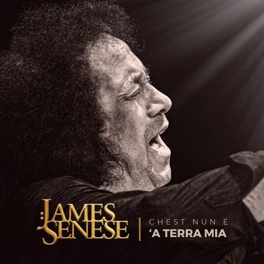 Copertina Vinile 33 giri Chest nun è 'a Terra Mia di James Senese
