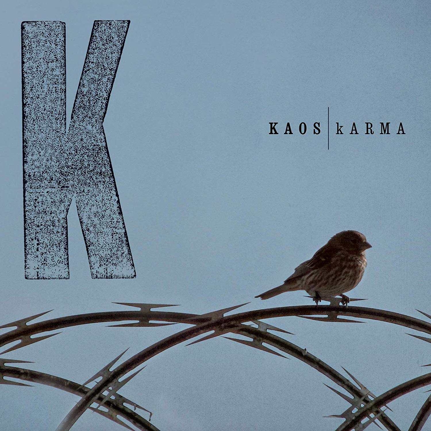 Copertina Vinile 33 giri Karma [2 LP] di Kaos