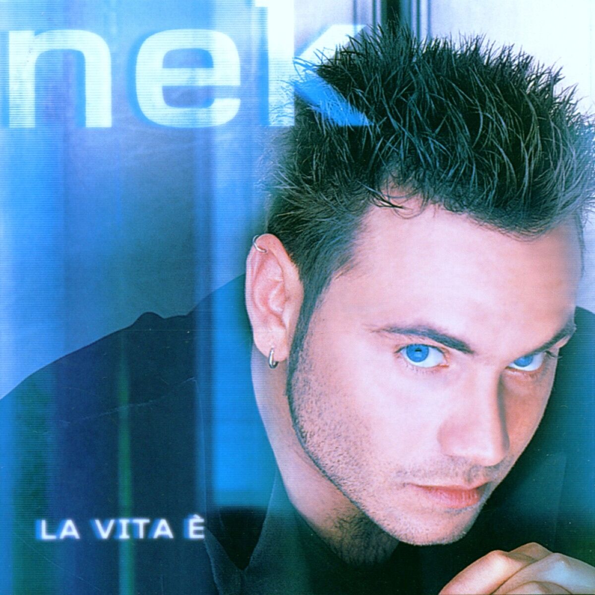 Copertina Vinile 33 giri La Vita È di Nek