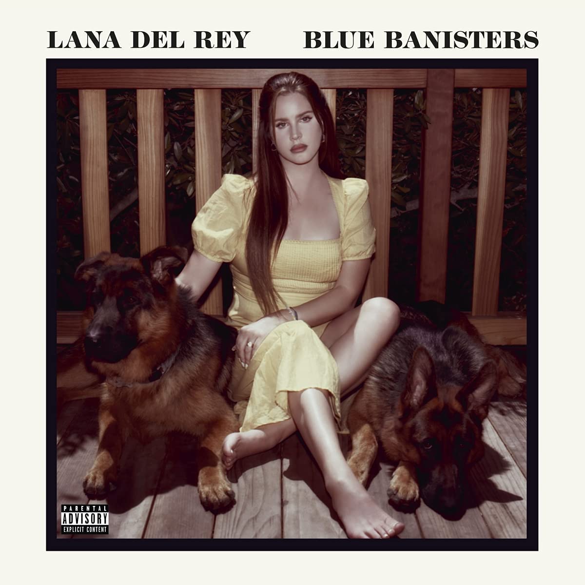 Copertina Vinile 33 giri Blue Banisters [2 LP] di Lana Del Rey