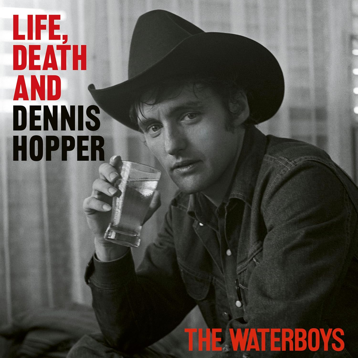 Copertina Vinile 33 giri Life, Death and Dennis Hopper di The Waterboys