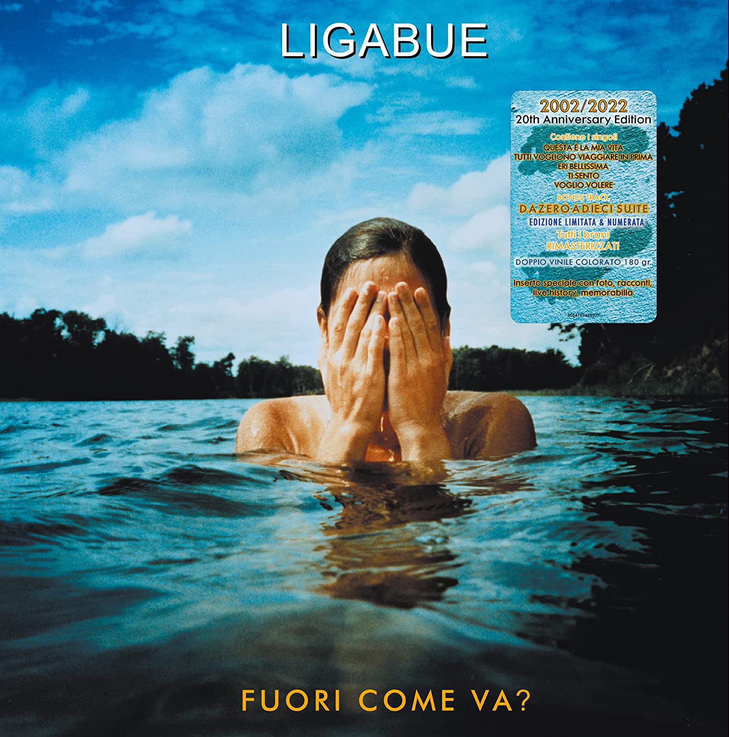 Copertina Vinile 33 giri Fuori Come Va? di Ligabue