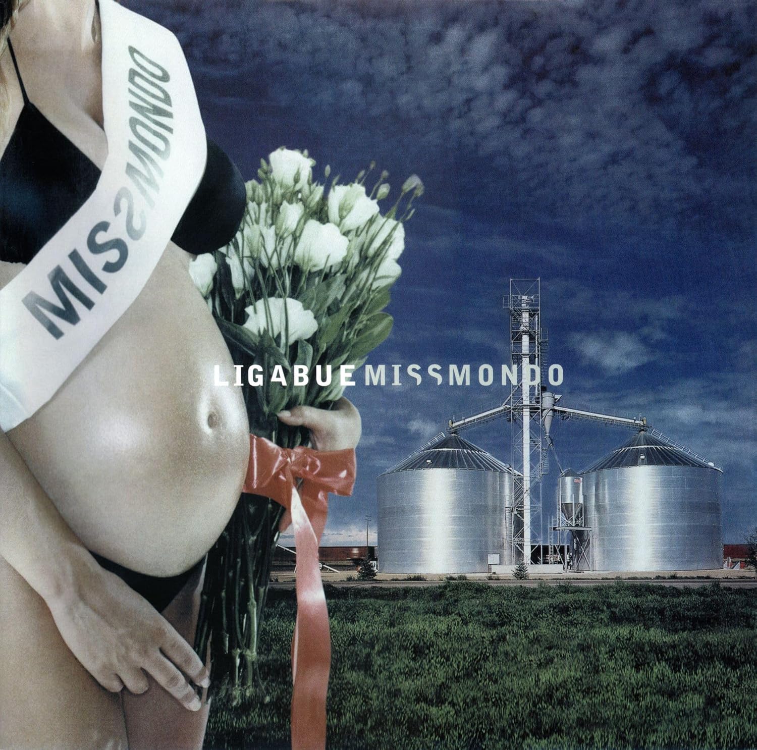 Copertina Vinile 33 giri Miss Mondo di Ligabue