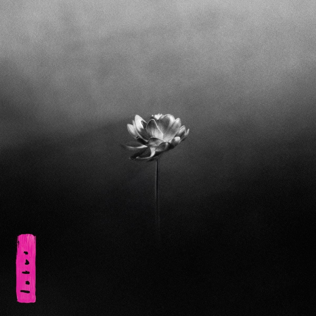 Copertina Vinile 33 giri Lotus di Little Simz