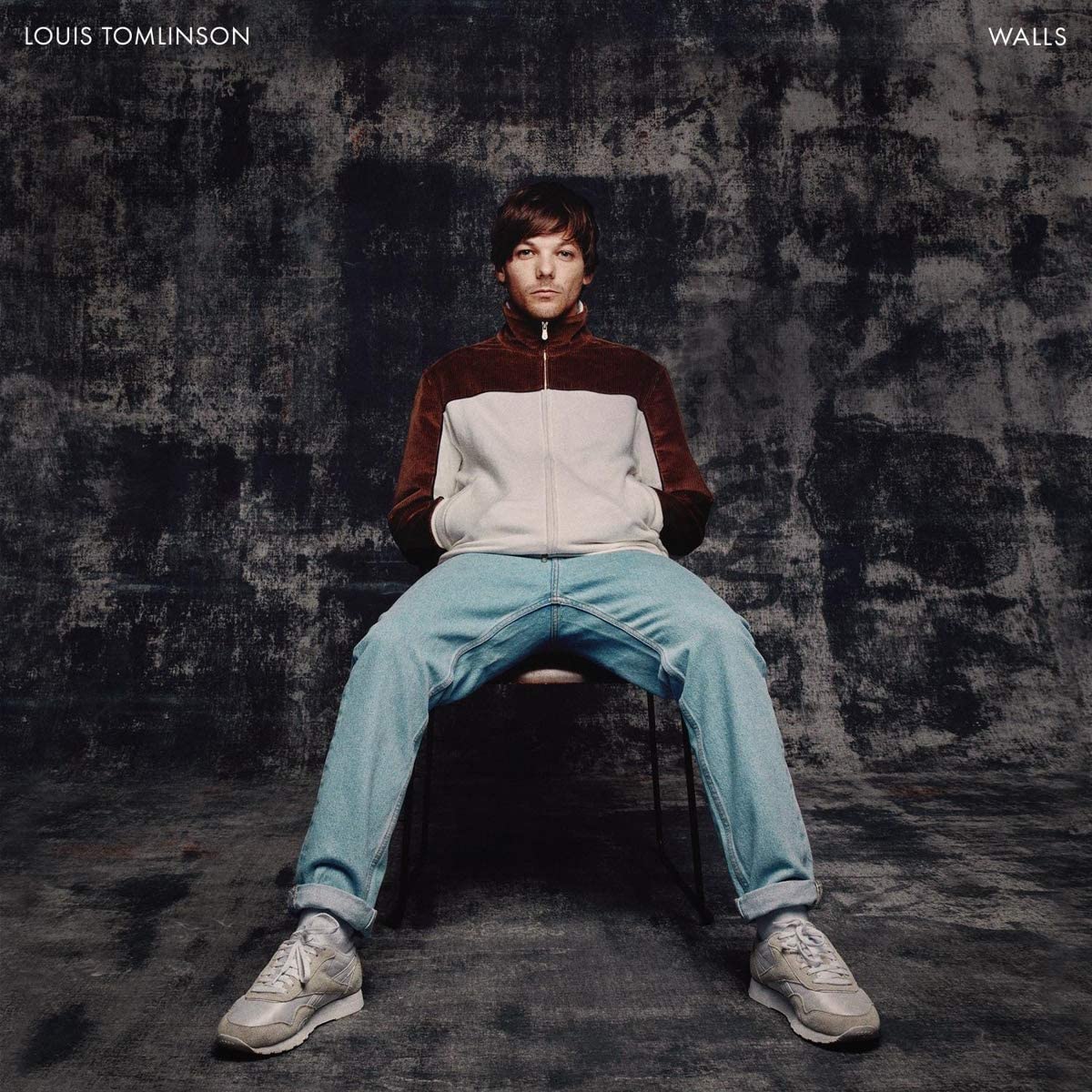 Copertina Vinile 33 giri Walls di Louis Tomlinson