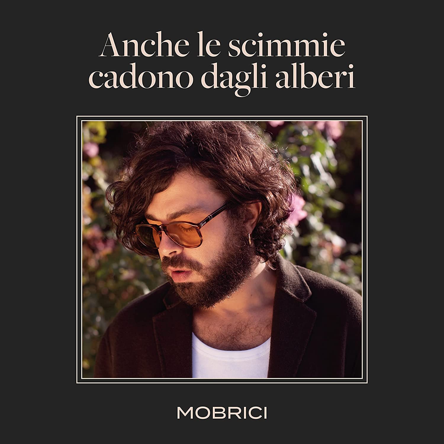 Copertina Vinile 33 giri Anche le Scimmie Cadono dagli Alberi di Mobrici