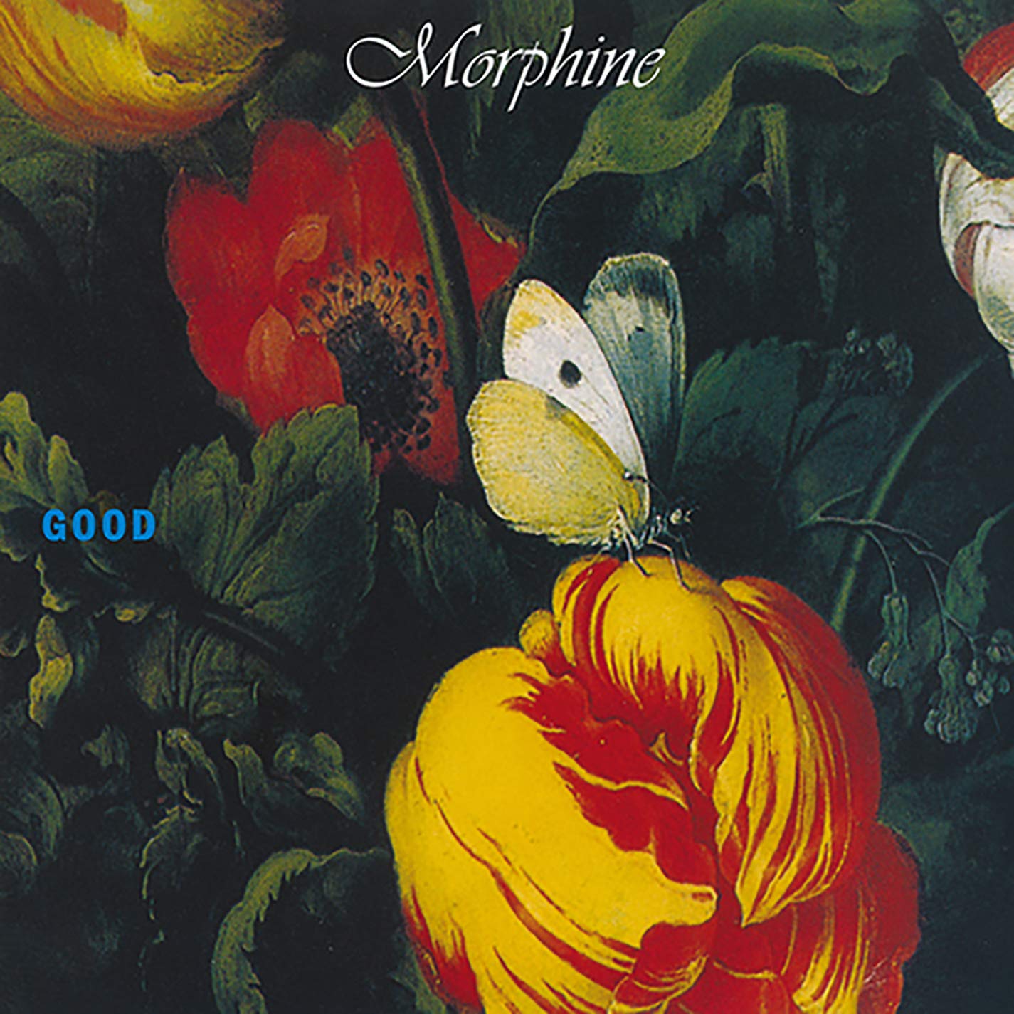 Copertina Vinile 33 giri Good di Morphine