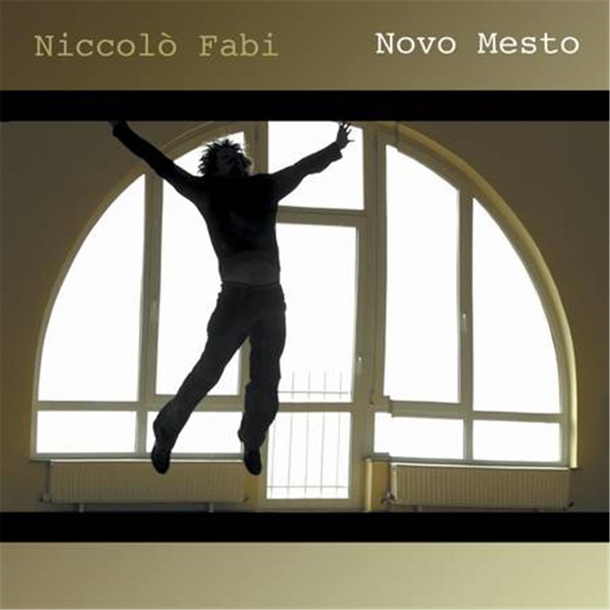 Copertina Vinile 33 giri Novo Mesto di Niccolò Fabi