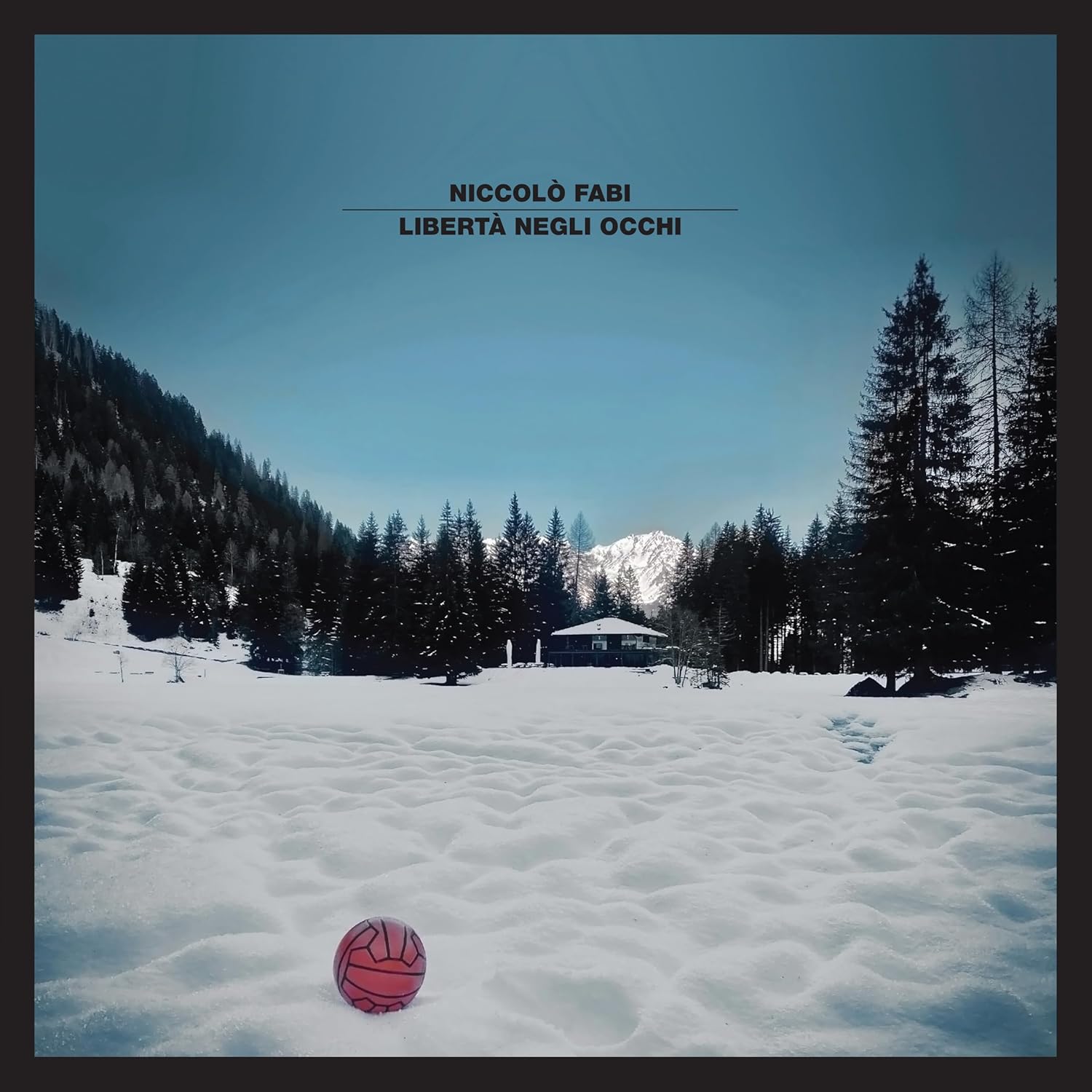 Copertina Vinile 33 giri Libertà negli Occhi di Niccolò Fabi