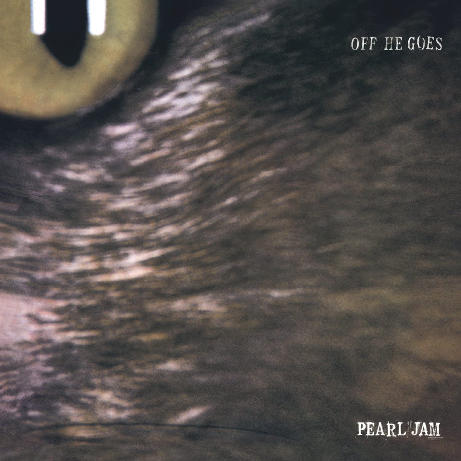 Copertina Vinile 33 giri Off He Goes Singolo LP di Pearl Jam