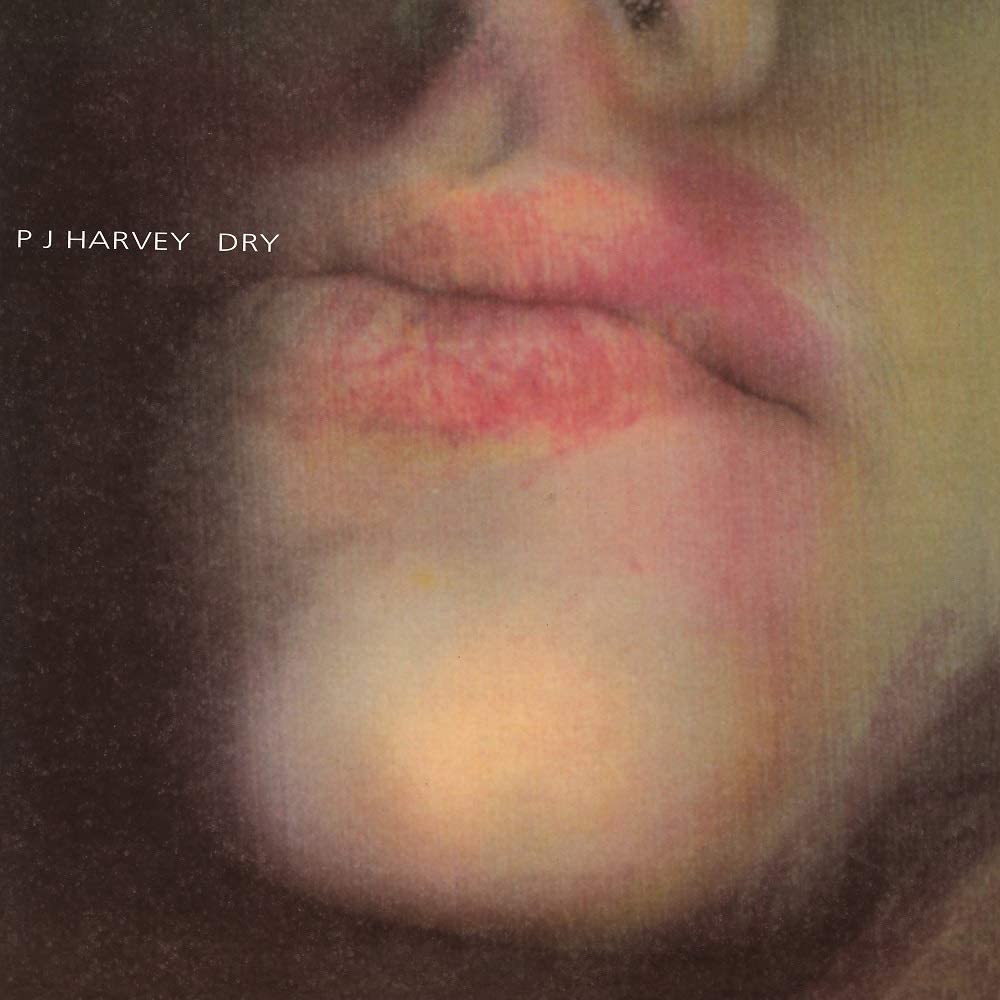 Copertina Vinile 33 giri Dry di PJ Harvey