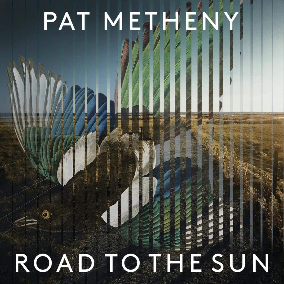 Copertina Vinile 33 giri Road To The Sun di Pat Metheny