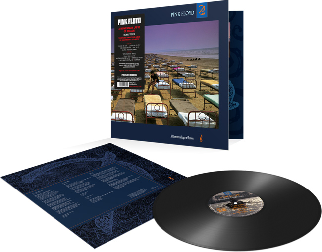 Copertina Disco Vinile 33 giri A Momentary Lapse of Reason di Pink Floyd