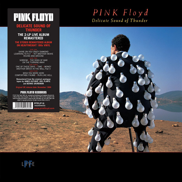 Copertina Vinile 33 giri Delicate Sound of Thunder [2 LP] di Pink Floyd