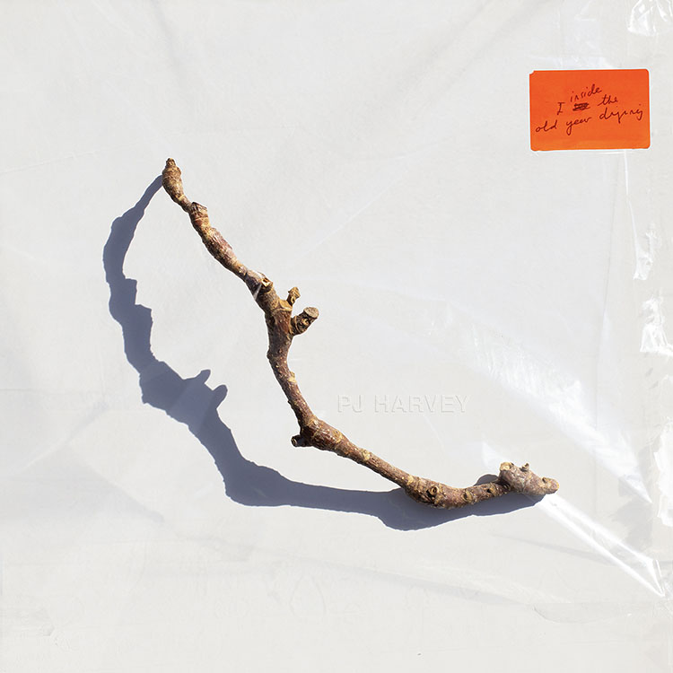 Copertina Vinile 33 giri I Inside the Old Year Dying di PJ Harvey