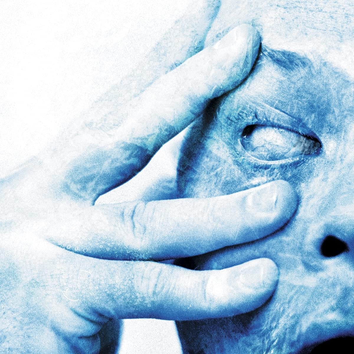 Copertina Vinile 33 giri In Absentia [2 LP] di Porcupine Tree