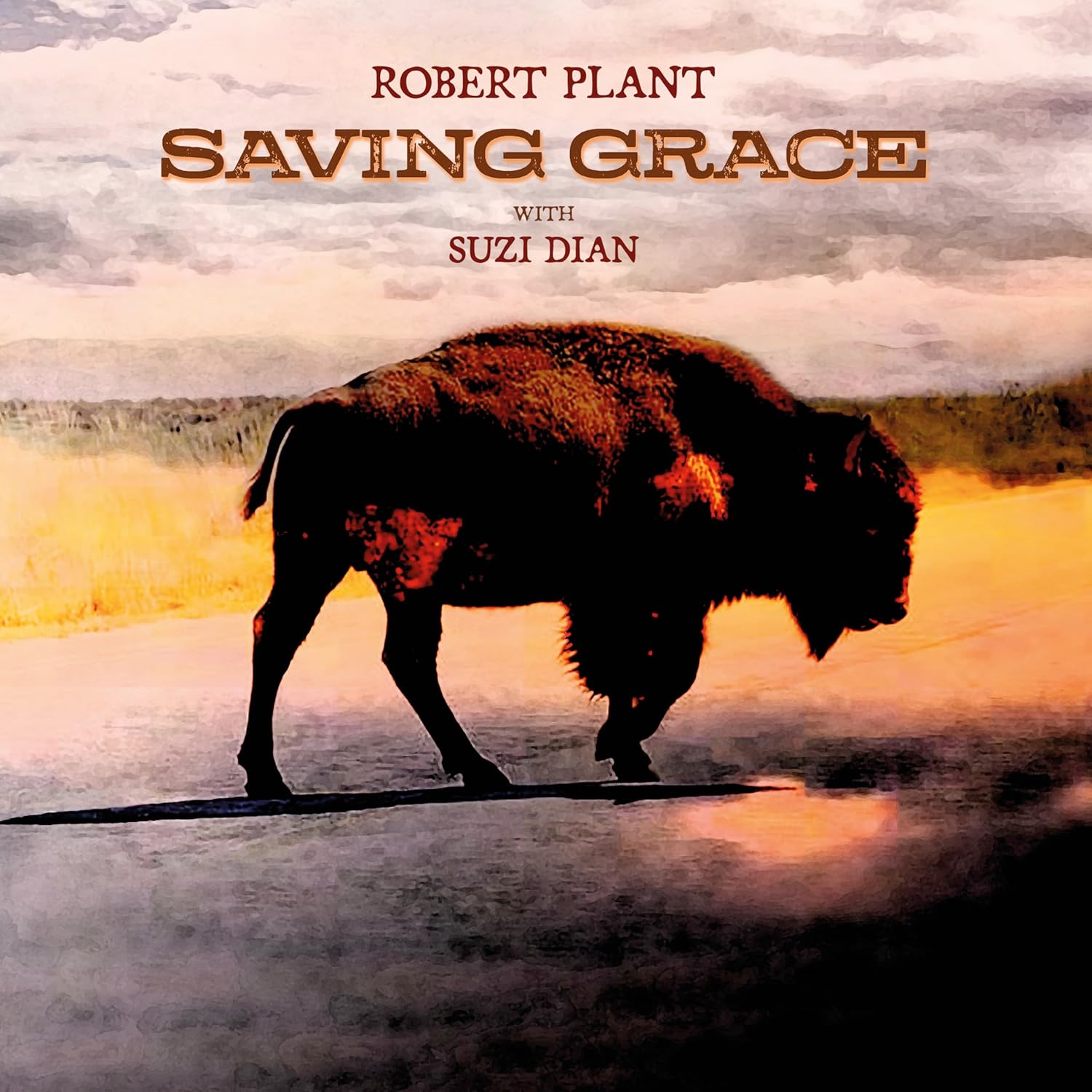 Copertina Vinile 33 giri Saving Grace di Robert Plant
