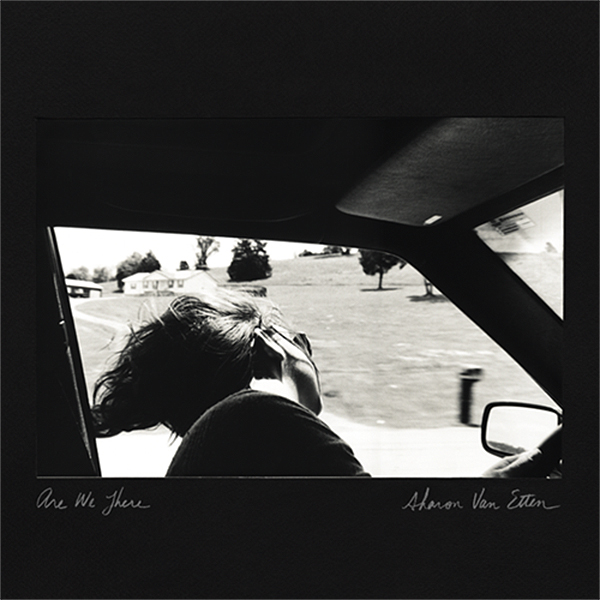 Copertina Disco Vinile 33 giri Are We There di Sharon Van Etten